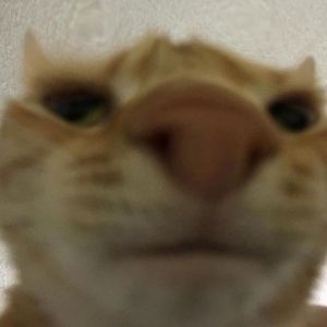 Meet your Posher, Brad